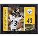 Mounted Memories Pittsburgh Steelers Troy Polamalu 8X10 Color Plaque Size: One Size