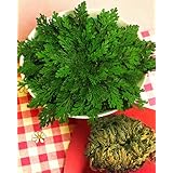 Détails sur le produit