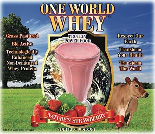 One World Whey - Strawberry 5 LB - New and Improved, Technologically Enhanced Protein Formula