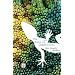 The Book of Chameleons: A Novel