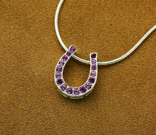 Rainbow Horseshoe Necklace