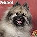 Keeshond Calendar - Breed Specific Keeshond Calendar - 2015 Wall calendars - Dog Calendars - Monthly Wall Calendar by Avonside