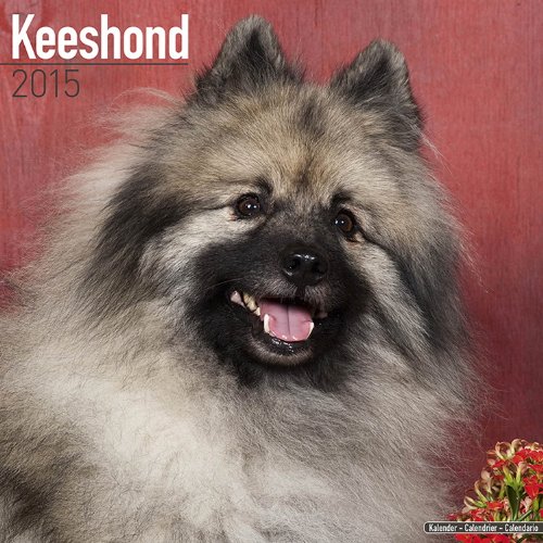 Keeshond Calendar - Breed Specific Keeshond Calendar - 2015 Wall calendars - Dog Calendars - Monthly Wall Calendar by Avonside