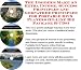 The Guru's Generate Extra Cash, Marketing and Inner Game for Portable DivX Players On-line Businesses 3 CD Pack