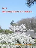 2016　雑誌では見られないドラフト候補たち