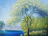 Art Reproduction Oil Painting Monet Paintings: Antibes, View of Salis Extra Large 36 X 48 Hand Painted Canvas Art 61uPTVPy9dL. SL160 Art Reproduction Oil Painting Monet Paintings: Antibes, View of Salis Extra Large 36 X 48 Hand Painted Canvas Art