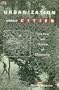 Urbanization Without Cities: The Rise and Decline of Citizenship