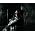 Thumbnail image of Lil Wayne
