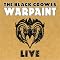 The Black Crowes and Related Side Projects