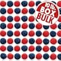 Strawberries and Blueberries 10 lbs bulk