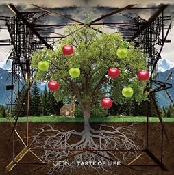 TASTE OF LIFE(初回生産限定盤)(DVD付)