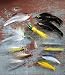 L.L.Bean Deluxe Northeast Saltwater Fly Selection