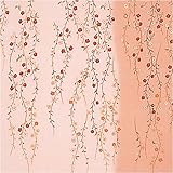 ��Ђ��ʂ�������߂�F�T �}�����