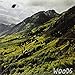 Songs of Shame [Vinyl]