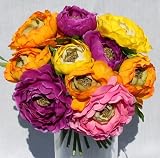 Purple and Yellow Ranunculus Silk Bouquet