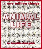 One Million Things: Animal Life