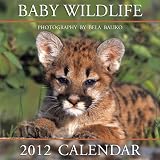 2012 Baby Wildlife Wall calendar