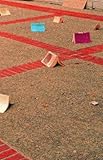 Contestations : learning from critical experiments in education