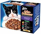 Felix Ofenschmaus 12er Multi Pack Fleisch & Fisch Mix, 12x 100g Frischebeutel - Katzenfutter