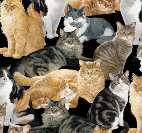 Allover Cat II Fleece Throw Blanket