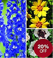 Perennials Collection