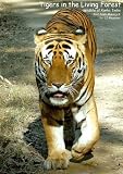 Tigers in the Living Forest: Wildlife of Kanha, India