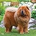 Chow Chows 2016 Wall Calendar