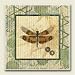 Kitchen & Housewares : Dragonfly Willow, Set of 4 Ceramic Coasters