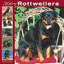 Rottweilers 366 Days 2008 Square Wall Calendar (German, French, Spanish and English Edition)