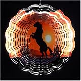 TruImageTM Horse Silhouette EyCatcher�