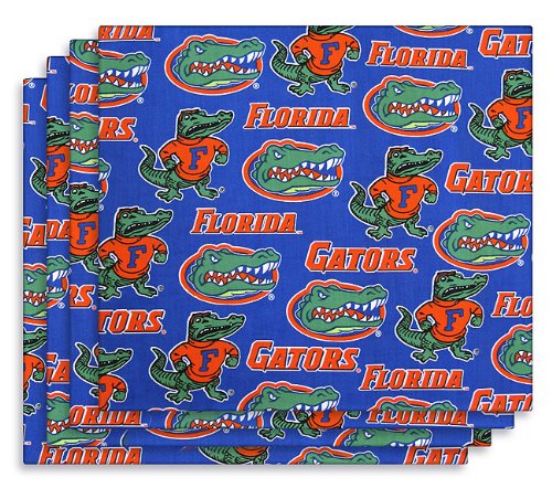 UFL Florida Gators 4 Pc Placemat Set Gifts & Gift Ideas