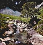 Beta Band [VINYL]