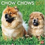 Chow Chows 2011 Square 12X12 Wall Calendar