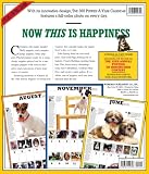 Cute Overload Page-A-Day Calendar 2009 (Color Page-A-Day(r) Calendars)