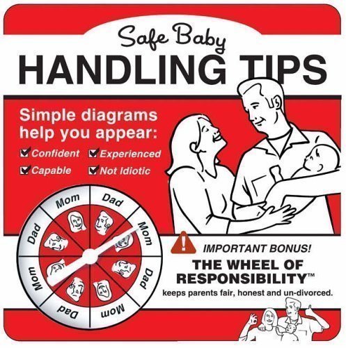 Safe Baby Handling Tips by Sopp, David, Sopp, Kelly Brdbk Edition (2005)