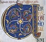 The Bury bible