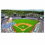 MLB Los Angeles Dodgers 28-by-52 Inch Floor Mat