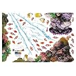 Easy Instant Decoration Wall Sticker Decal - Tropical Fish