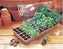 Burpee 36-Cell Greenhouse Kit - Seed Starting