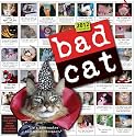 Bad Cat Wall Calendar 2012