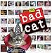 Bad Cat 2012 Wall Calendar