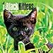 Black Kittens 2016 Mini 7x7