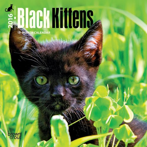 Black Kittens 2016 Mini 7x7