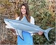 Giant Taxidermy Great White Shark 40" Full Wall Mount