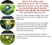 Search : The Ultimate Promotion, Success Principles and Inner Game for Jewelry Boxes Web Businesses 3 CD Power Pack
