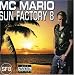 Mc Mario-Sun Factory 8