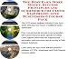 The Best Earn More Money, Success Principles and eCommerce for Cloth Diapers On-line Businesses 3 Course Pack