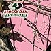 Mossy Oak Graphics Interior Auto Dash Kit, Easy to Install, No-Fade, Cast Vinyl, Break-up Pink 14011-BUP