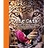 Big Cats: In Search of Lions, Leopards, Cheetahs, and Tigers