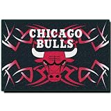 Chicago Bulls 20" x 30" Rug